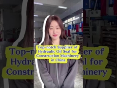 EX450-5 EX60-1 Hydraulische cilinderdichting hittebestendig