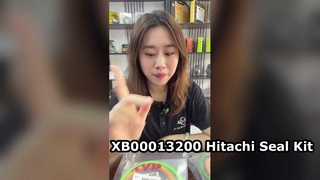 Fix Oil Leak！Hitachi XB00013200 Repair Kit